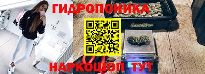твердый Заводоуковск