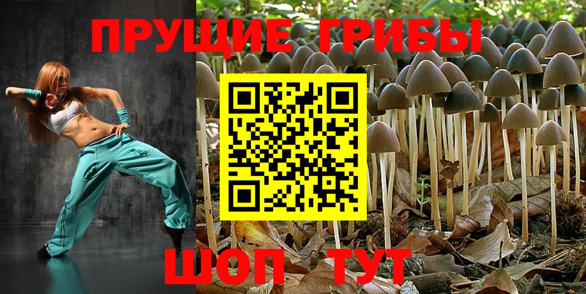 сколько стоит  Галлюциногенные грибы Psilocybe  Люберцы  Вход с VPN  Галлюциногенные грибы Psilocybine cubensis 