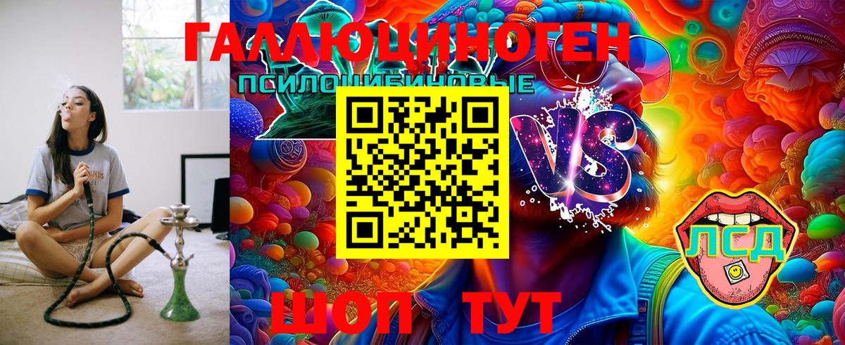 Псилоцибиновые грибы Psilocybine cubensis Люберцы